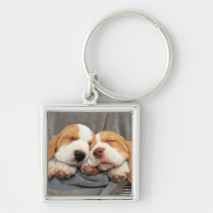 Porte-clés Chiots somnolents
