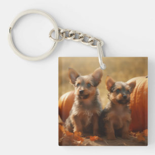 Porte-clés Chiots Terrier Australien Délice d'Automne Citroui