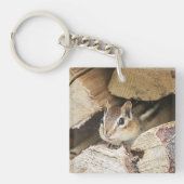Porte-clés Chipmunk dans une pile de bois (Devant)