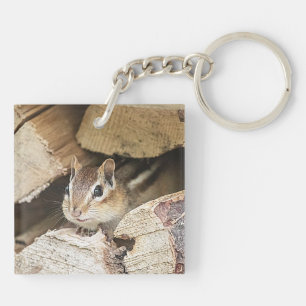 Porte-clés Chipmunk dans une pile de bois