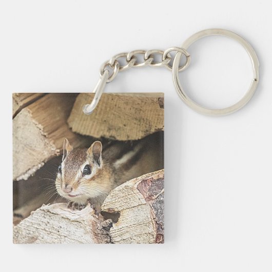 Porte-clés Chipmunk dans une pile de bois (Dos)