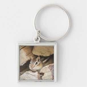 Porte-clés Chipmunk dans une pile de bois