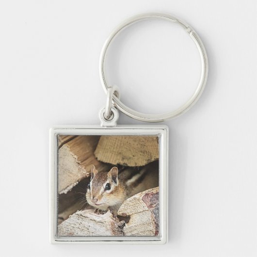 Porte-clés Chipmunk dans une pile de bois (Devant)