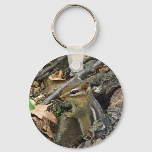 Porte-clés Chipmunk oriental - Tamias striatus (Recto)