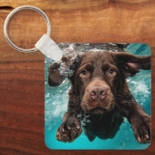 Porte-clés Chocolat Joueur Labrador nage sous l'eau (Recto)