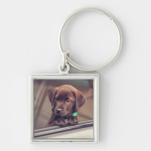Porte-clés Chocolat Labrador Chiot En Voiture (Devant)