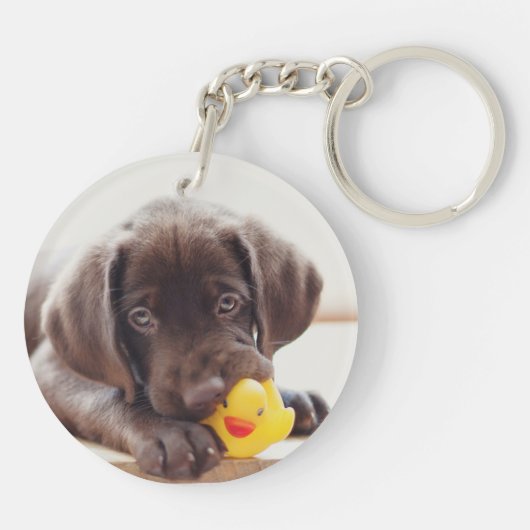 Porte-clés Chocolat Labrador Puppy With Toy Duck (Dos)