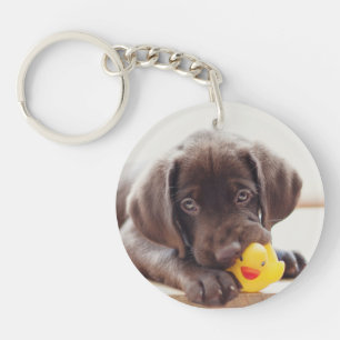 Porte-clés Chocolat Labrador Puppy With Toy Duck