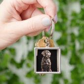 Porte-clés Chocolat labrador retriever (main)