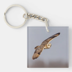 Porte-clés Chouette à oreilles courtes dans les Prairies de S