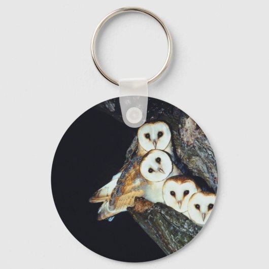 Porte-clés Chouette d'Amérique dans un arbre (Recto)