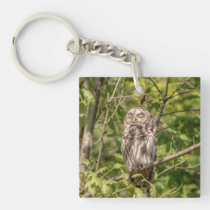 Porte-clés Chouette dorée