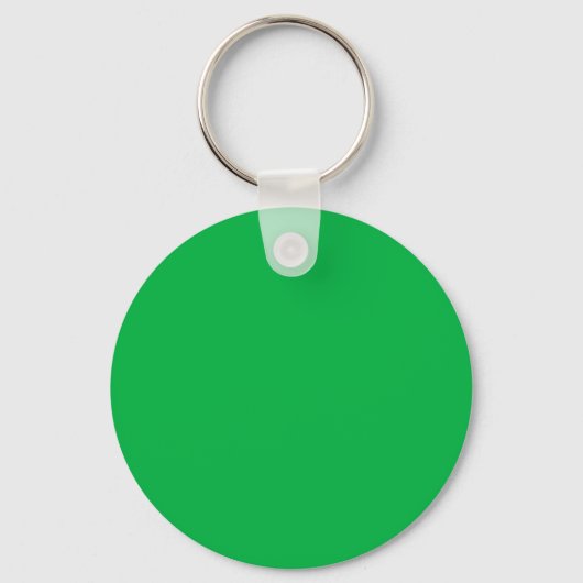Porte-clés Chroma couleur clé vert (Recto)