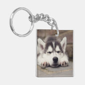 Porte-clés Chuppy Husky Sleeping (Devant gauche)