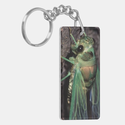 Porte-clés Cigale (Devant gauche)