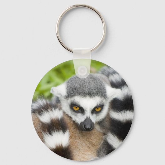Porte-clés Clavier - Cute Lemur Stripey Tail (Recto)