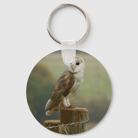 Porte-clés Clavier de Barn Owl (Recto)