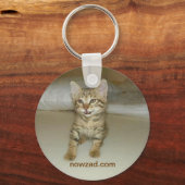 Porte-clés Clavier de chat Secouru Nowzad (Recto)