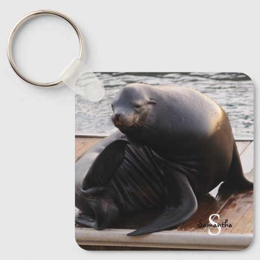 Porte-clés Clavier de lion de mer (Recto)