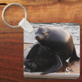 Porte-clés Clavier de lion de mer (Recto)