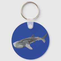 Clavier de requin-baleine