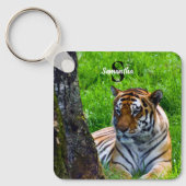 Porte-clés Clavier de tigre Amur (Recto)