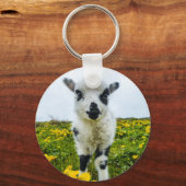 Porte-clés Clavier Lambie (Recto)