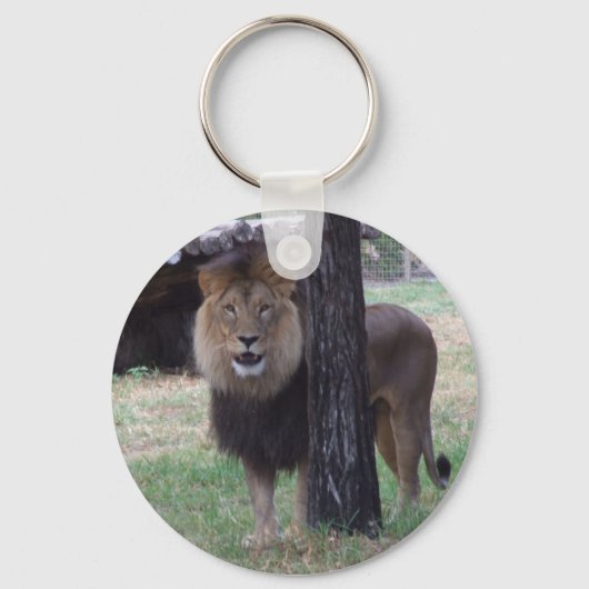 Porte-clés Clavier Lion (Recto)