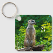 Porte-clés Clavier Meerkat (Recto)