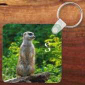 Porte-clés Clavier Meerkat (Verso)