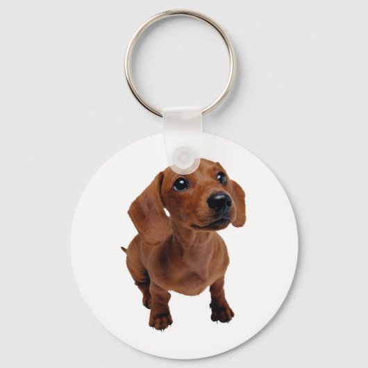Porte-clés Clavier Mini Dachshund (Recto)