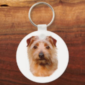 Porte-clés Clavier : Norfolk Terrier (Recto)