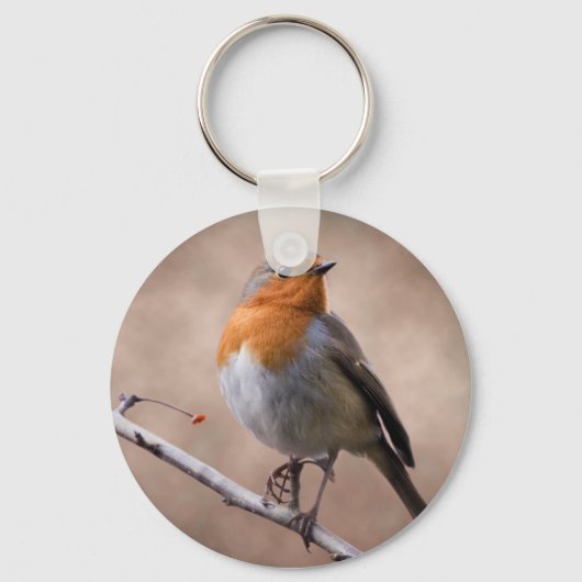 Porte-clés Clavier Robin Rustique (Recto)