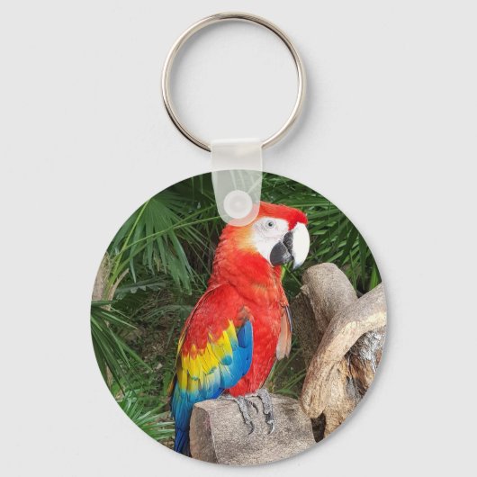 Porte-clés Clavier rouge perroquet (Recto)