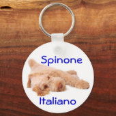 Porte-clés Clavier - Spinone Italiano. (Recto)