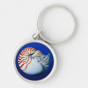 Porte-clés Close-Up Of Chambered Nautilus