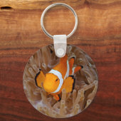 Porte-clés Clownfish - Molokai (Recto)