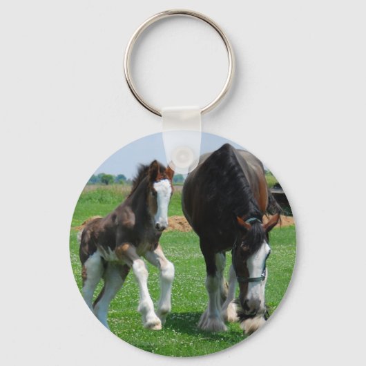 Porte-clés clydesdale et filly (Recto)
