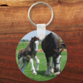 Porte-clés clydesdale et filly (Recto)
