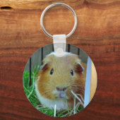Porte-clés cobaye de gingembre (Recto)