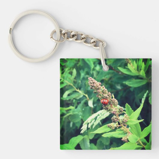Porte-clés Coccinelle au printemps (Devant)