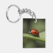 Porte-clés Coccinelle Insecte (Devant gauche)