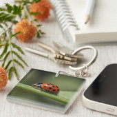 Porte-clés Coccinelle Insecte (Devant Droit)