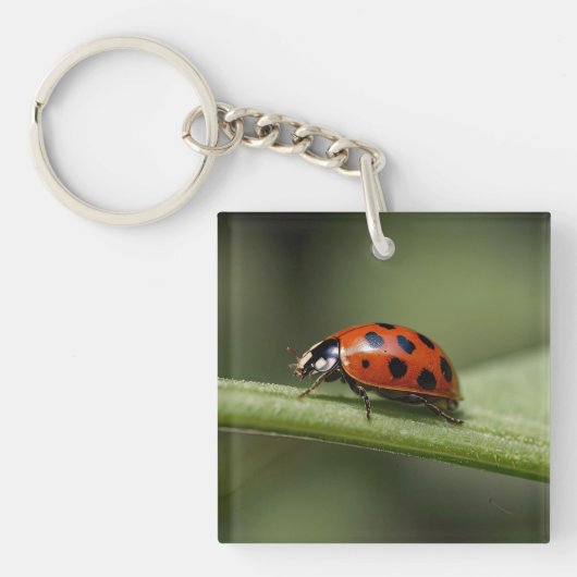 Porte-clés Coccinelle Insecte (Devant)