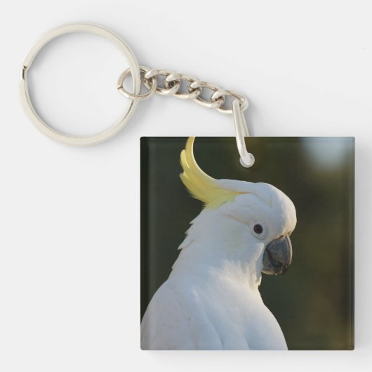 Porte-clés Cockatoo blanc exotique (Devant)