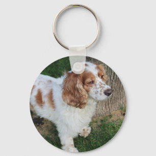 Porte-clés cocker spaniel anglais orange et blanc complet