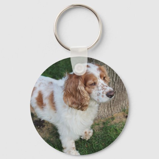 Porte-clés cocker spaniel anglais orange et blanc complet (Recto)