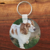 Porte-clés cocker spaniel anglais orange et blanc complet (Recto)