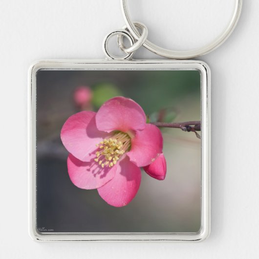 Porte-clés Coingot Parfait Rose Fleurissant (Devant)