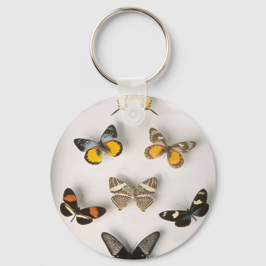 Porte-clés Colection de papillons, porte - clé (Recto)